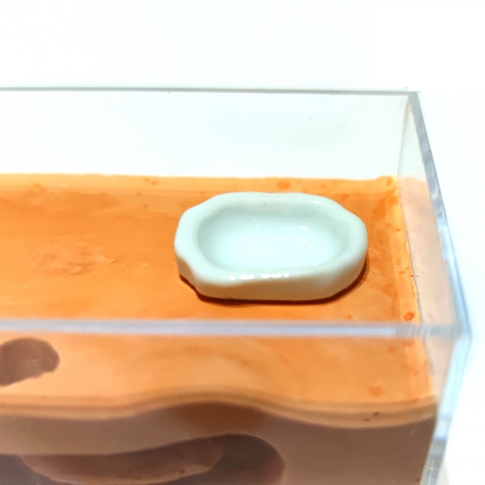 Keramická mistička umístěna ve výběhu mini-formikária.