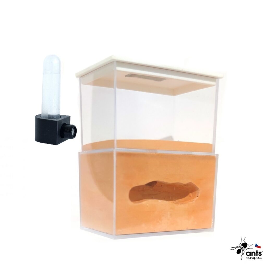 Startovací vertikální mini formikárium