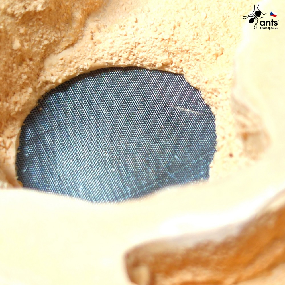 Zavlažovací systém formikária.