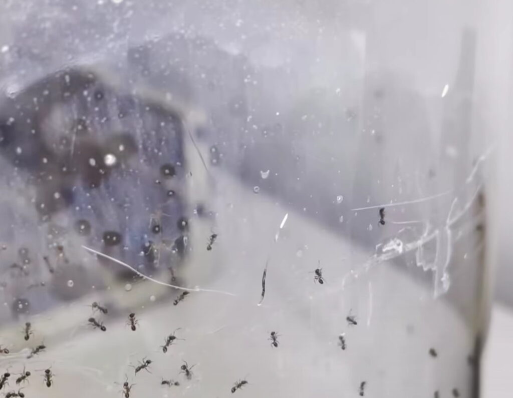 Bariéra proti úniku