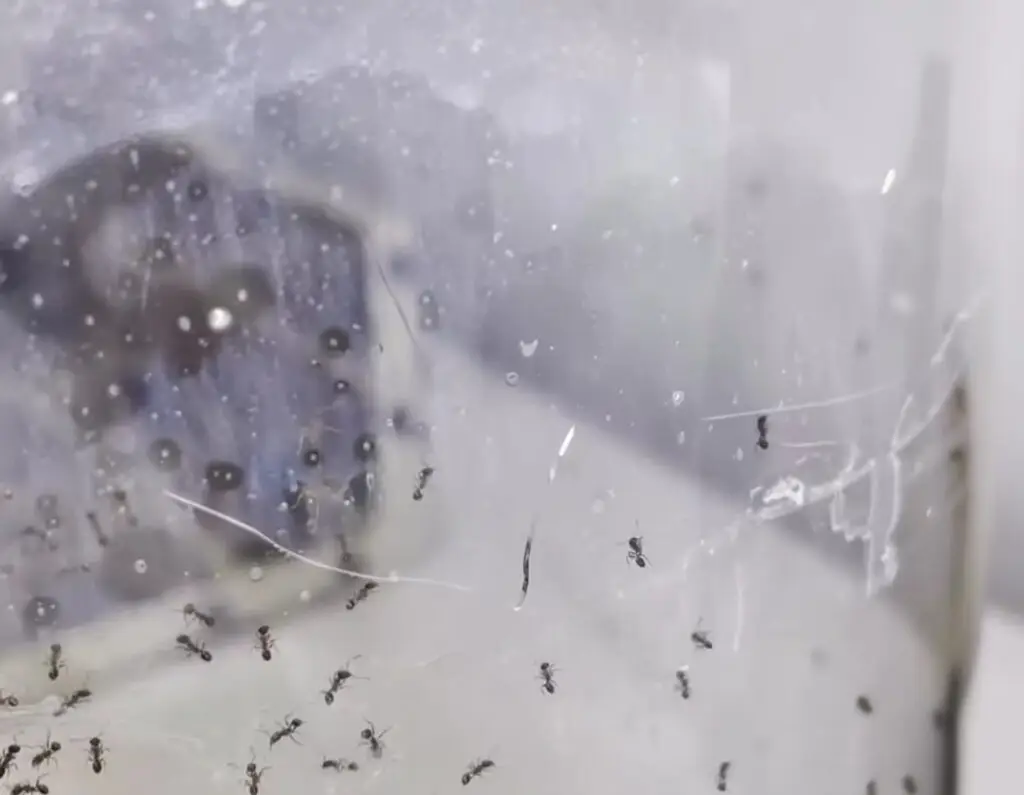 Popraskané plexisklo od bariéry