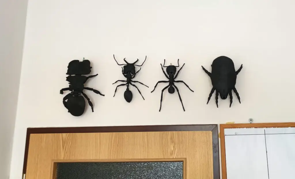 modely mravenců pověšené na zdi