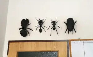 modely mravenců pověšené na zdi