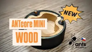 Formikárium ANTcore MINI WOOD