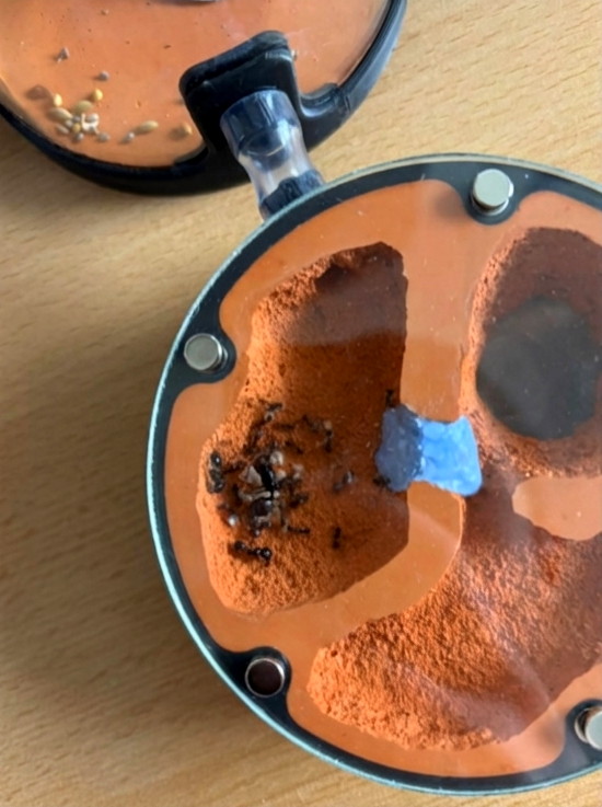 Formikárium ANTcore PRO se expandní záslepkou