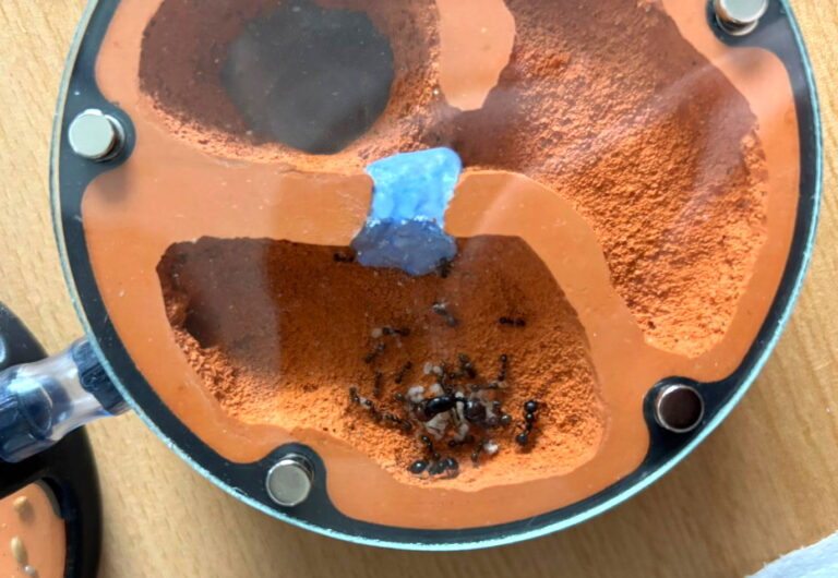 Formikárium ANTcore PRO se expandní záslepkou